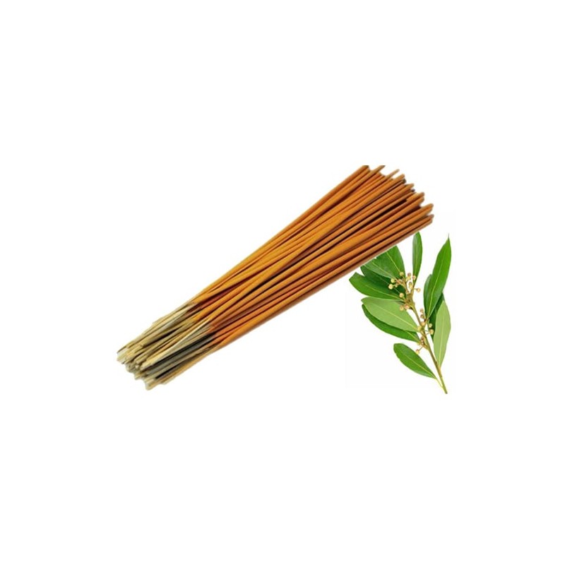 Varillas de incienso de Eucalipto Premium