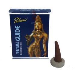 Cono de Incienso Padmini Spiritual Guide