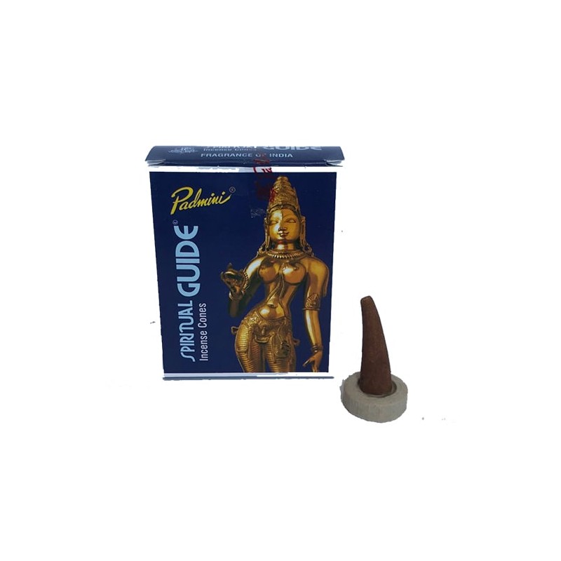 Cono de Incienso Padmini Spiritual Guide