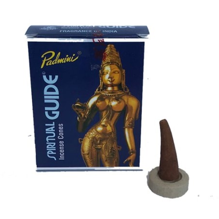Cono de Incienso Padmini Spiritual Guide