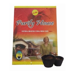 Copa de incienso con resina Limpiacasas Sree Vani