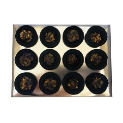 Copa de incienso con resina Purificador de Energía Sree Vani