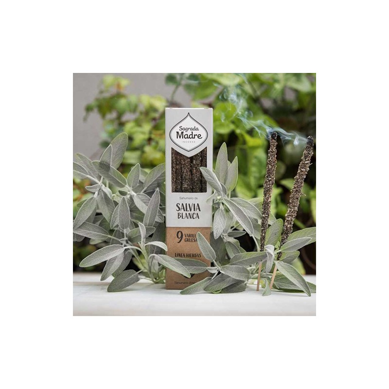 Incienso Hierbas Salvia Blanca Sagrada Madre