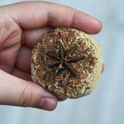 Pastilla defumación activada Anís, Canela y Romero Sagrada Madre