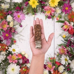 Sahumito Canela y Anís Santo Sagrada Madre