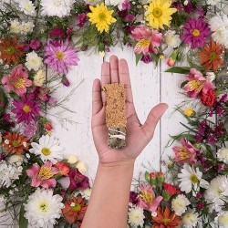 Sahumito Naranja y Citronela Sagrada Madre