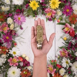 Sahumito Ruda Sagrada Madre