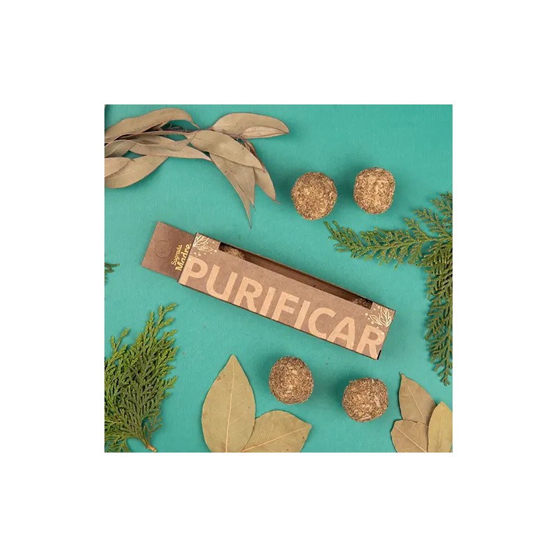 Bombita Herbal Purificar X 4 Sagrada Madre