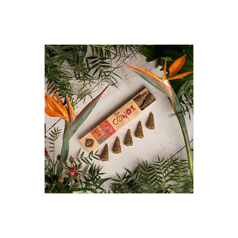 Conos Caléndula y Romero Sagrada Madre