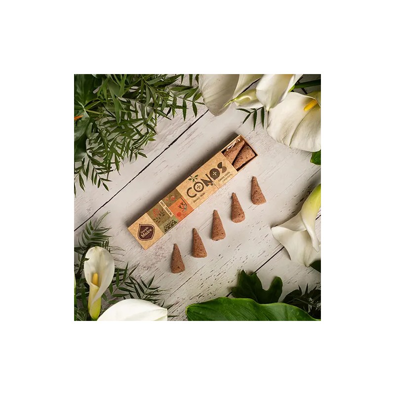 Conos Sándalo y Yagra Sagrada Madre