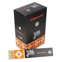 Incienso Tribal Soul Canela HARI DARSHAN