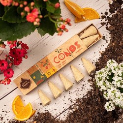 Conos Ámbar y Naranja Sagrada Madre