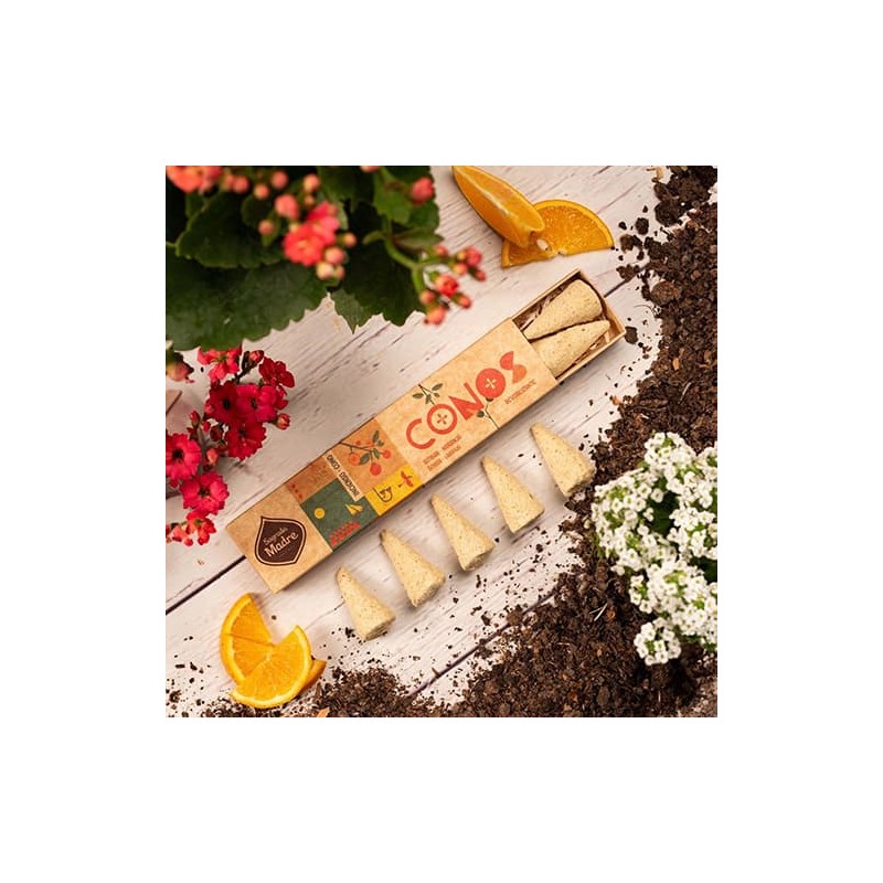 Conos Ámbar y Naranja Sagrada Madre