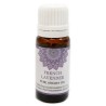 Aceite aromático Goloka Lavanda