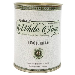 Conos de reflujo Goloka Salvia Blanca