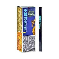 Incienso Padmini Spiritual Guide 8 gramos